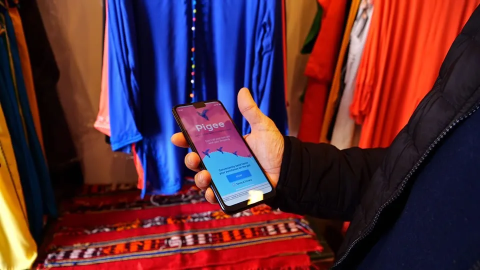 Pandemic shopping with Pigee