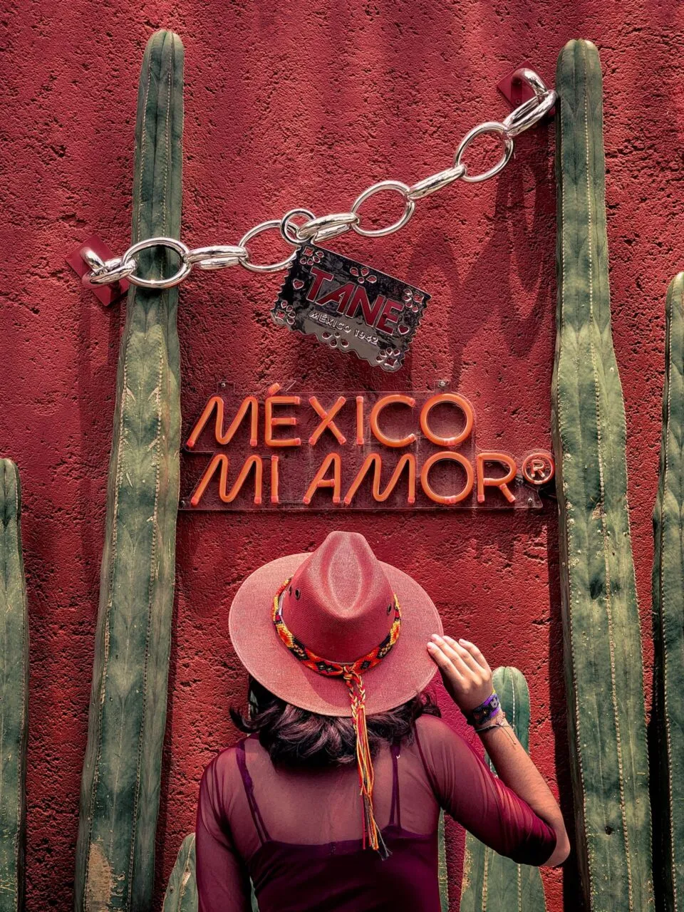 Delivery from Mexico to USA